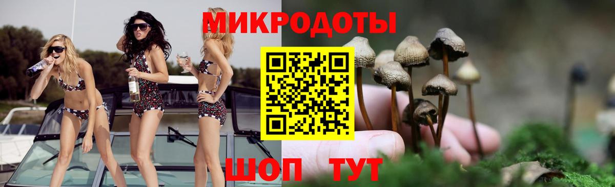 Семилуки  как найти закладки  Вход с VPN  Псилоцибиновые грибы Cubensis 